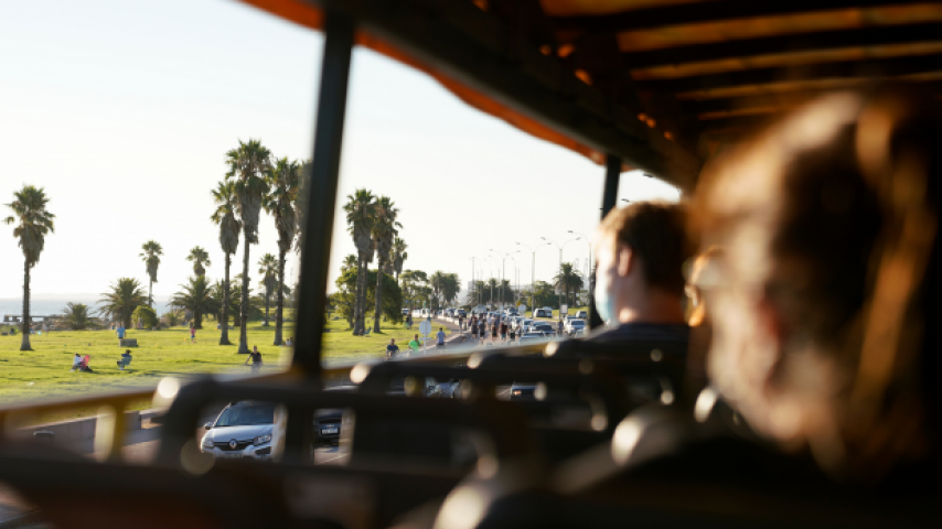 Bus Turístico